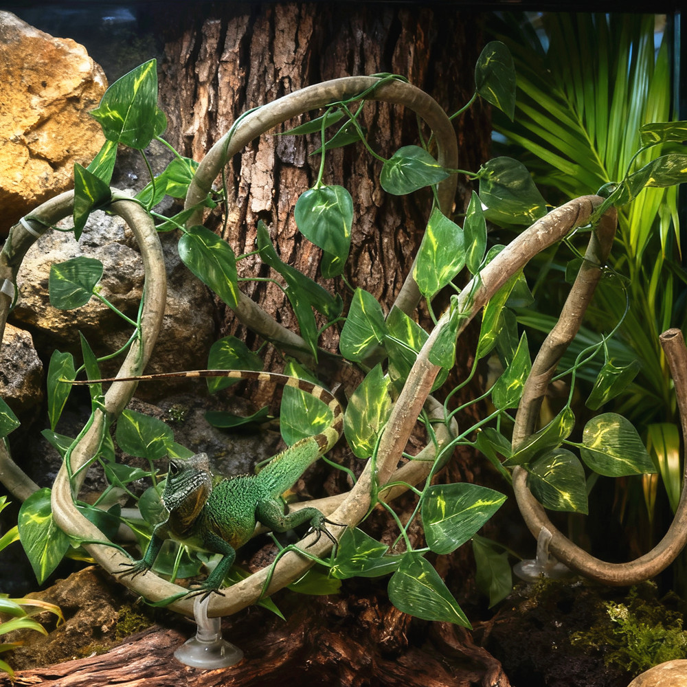 نباتات صناعية من الروطان بطول  - مراجعة Terrarium Moss Art وسعره